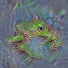 n01644373 tree frog, tree-frog